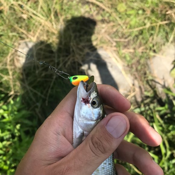 Outkit Metal Mini Spoon Spinner