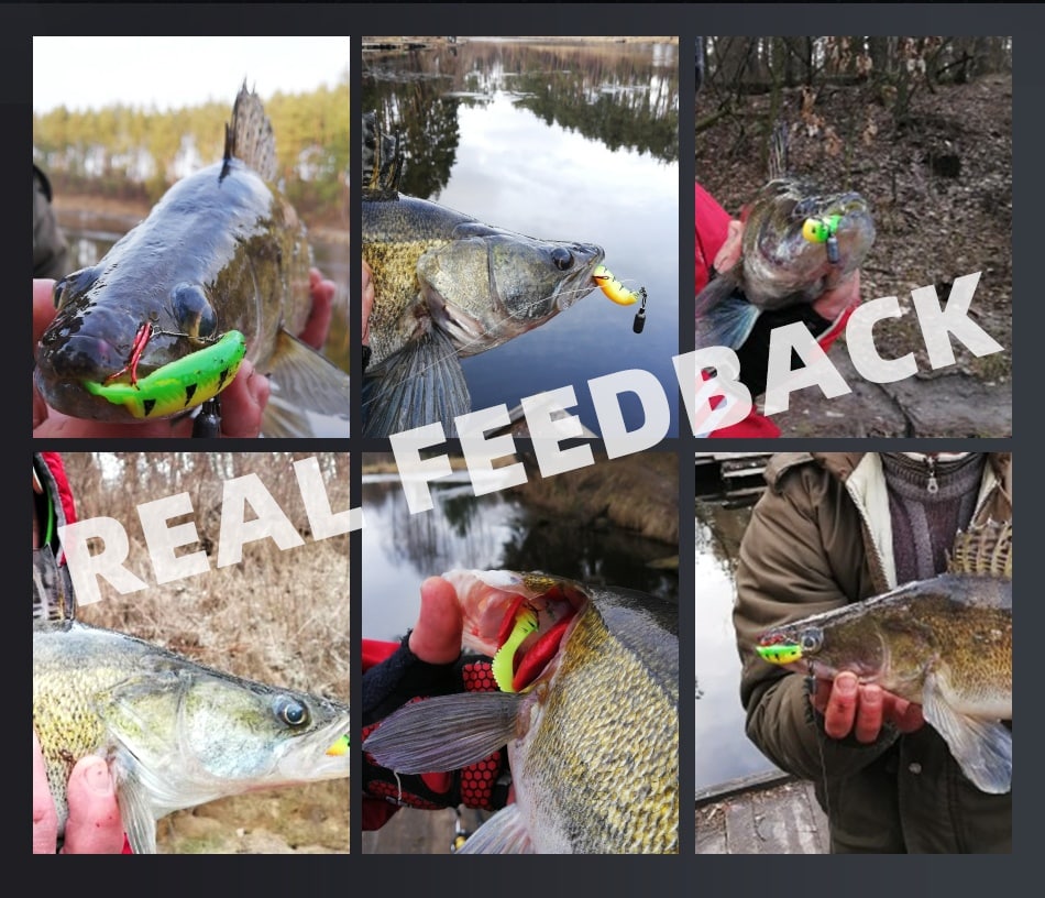 MEREDITH Cannibal Shad