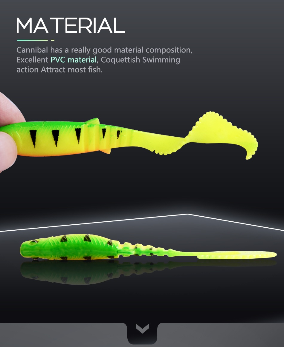 MEREDITH Cannibal Shad