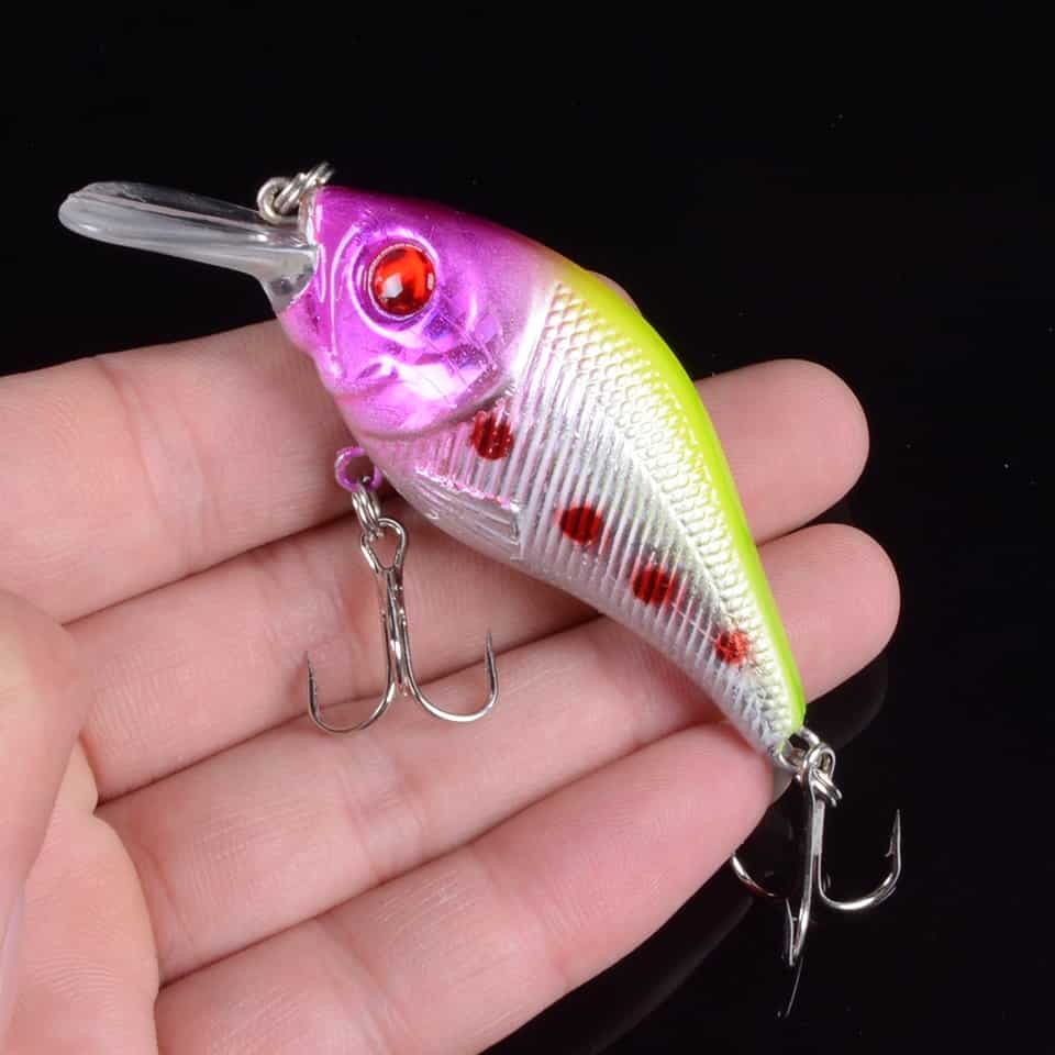 Square Bill Crankbait