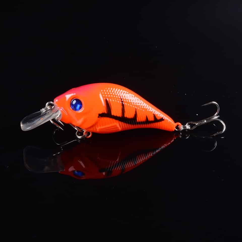 Square Bill Crankbait