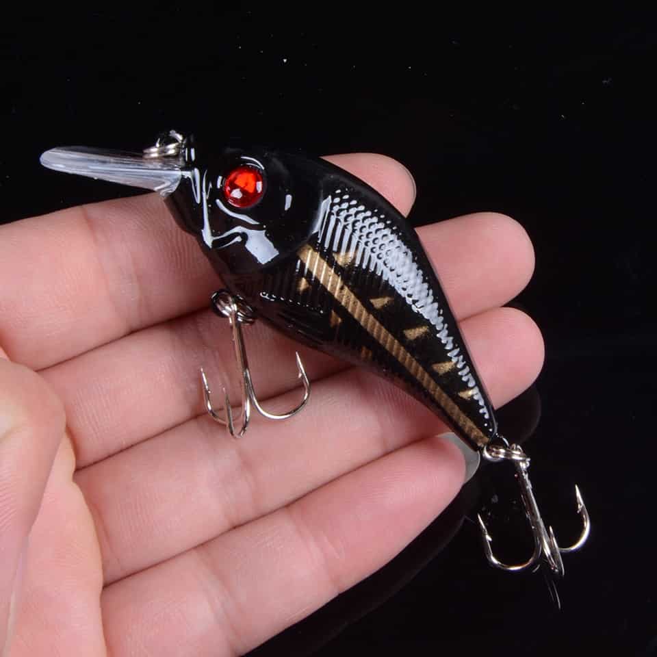 Square Bill Crankbait