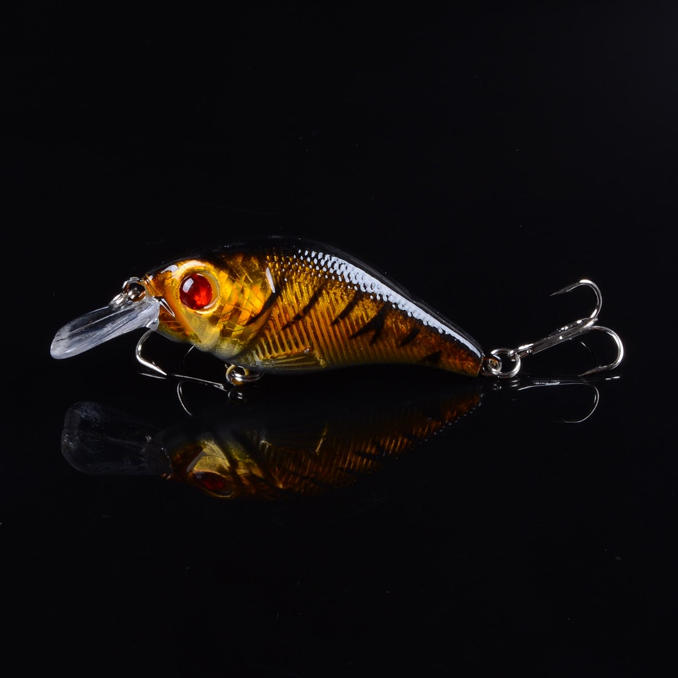 Square Bill Crankbait