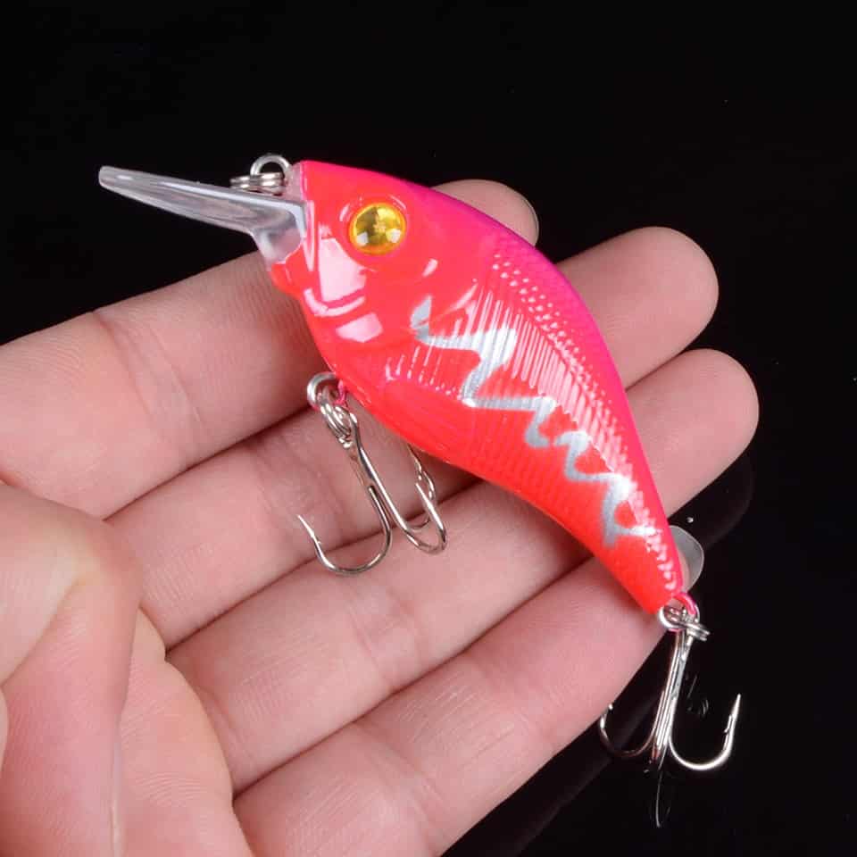 Square Bill Crankbait