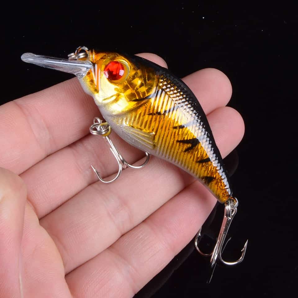 Square Bill Crankbait