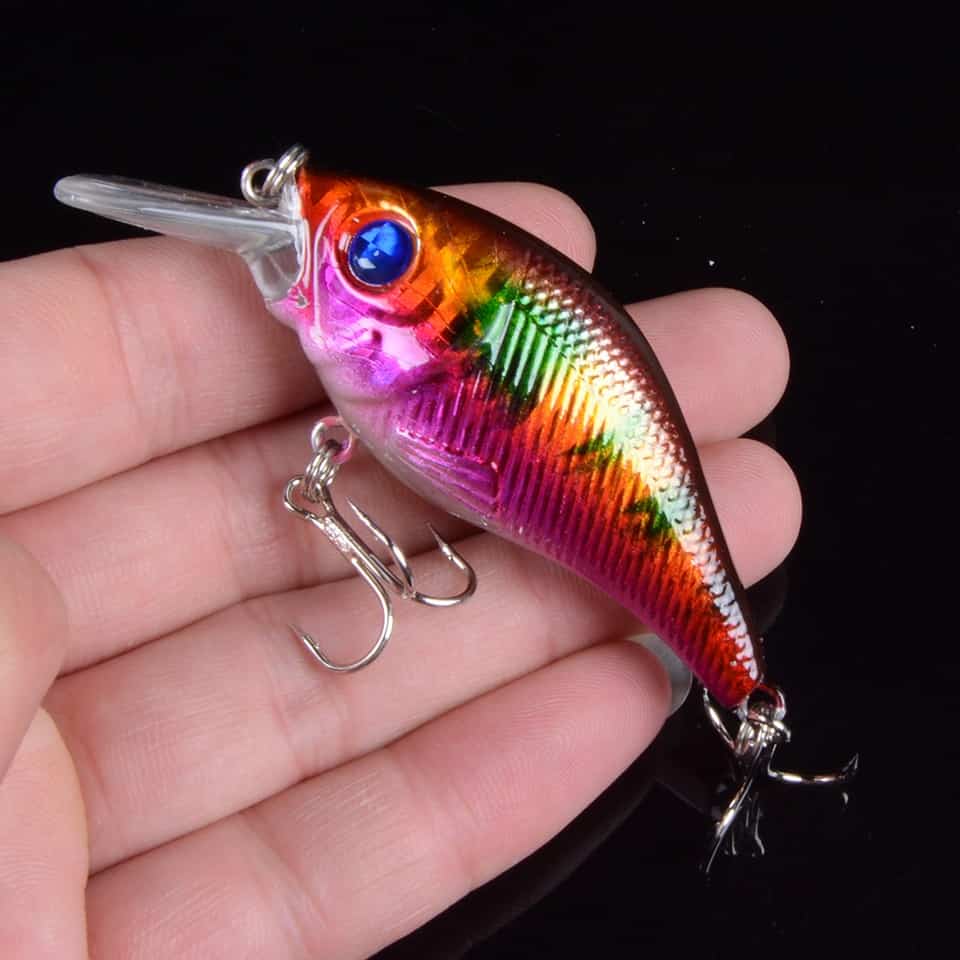 Square Bill Crankbait