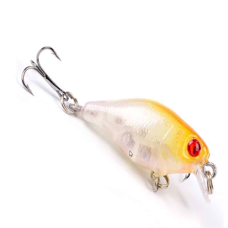 Square Bill Crankbait