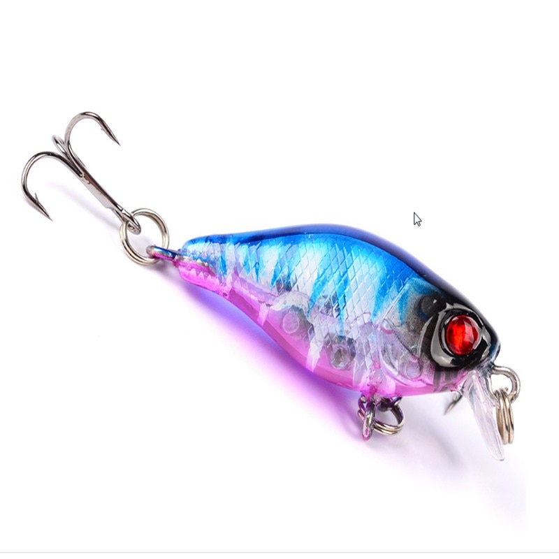 Square Bill Crankbait