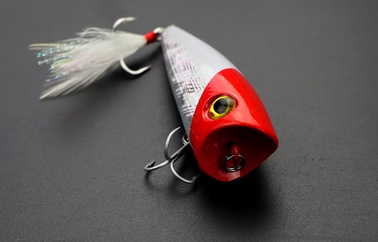 Topwater Popper Lure