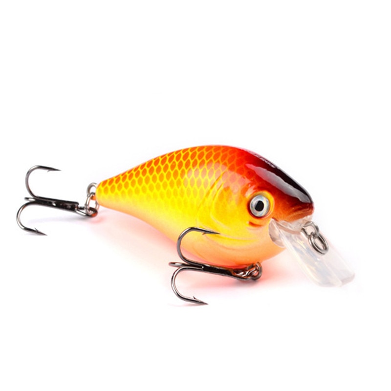 Square Bill Crankbait