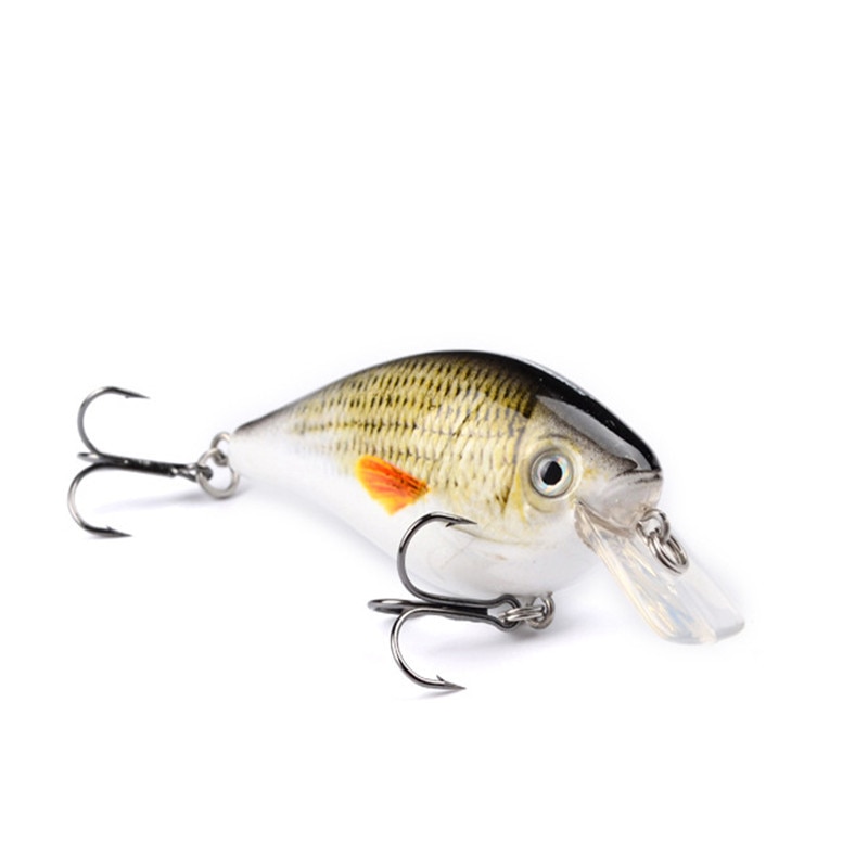 Square Bill Crankbait