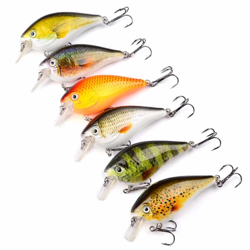 Square Bill Crankbait