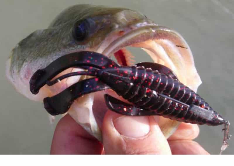 KESFISHING Creature Bait