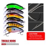 Square Bill Crankbait