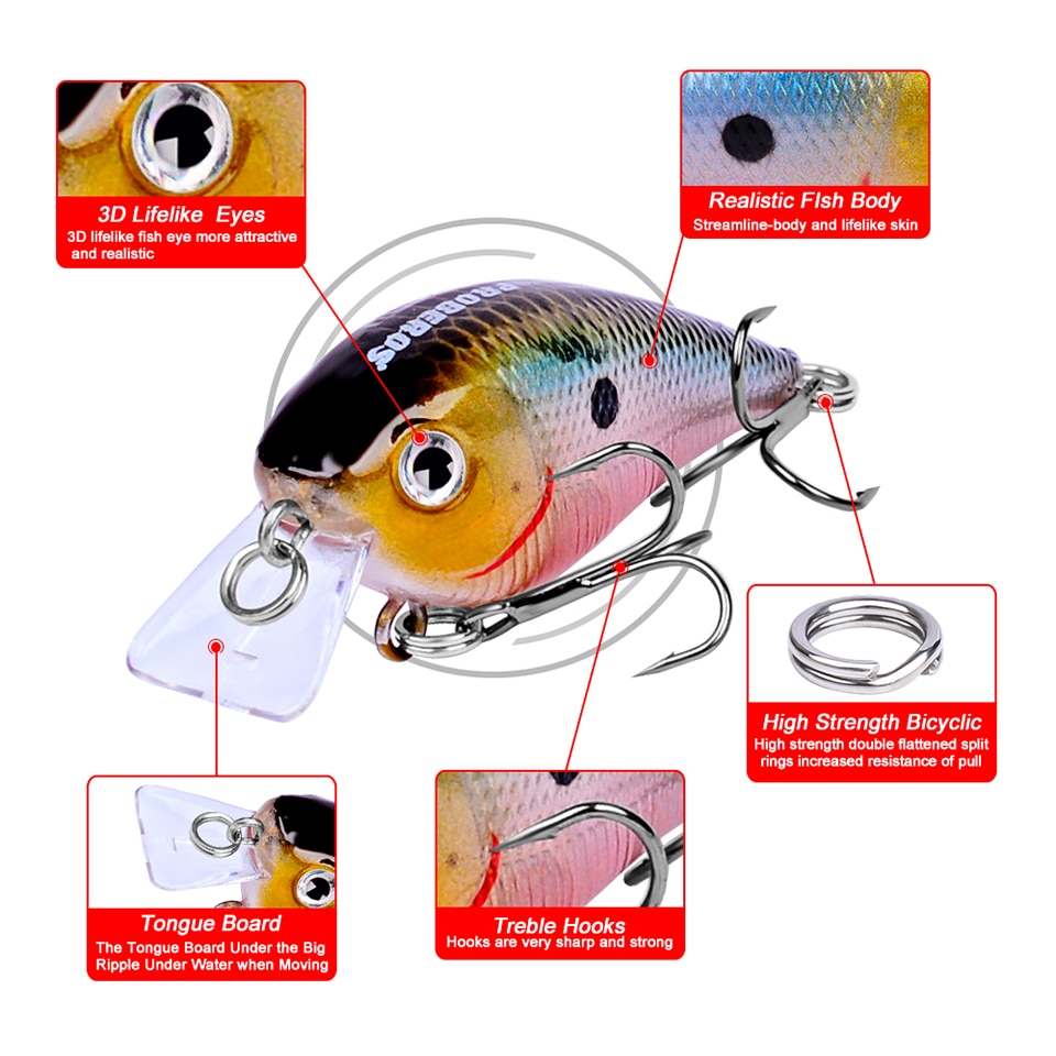 Square Bill Crankbait