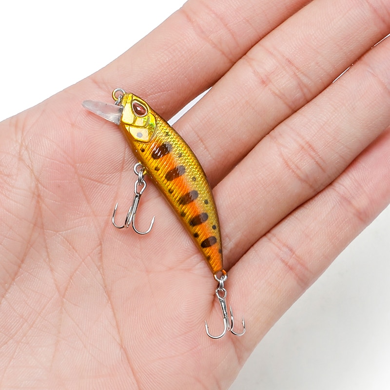 Minnow Crankbait