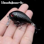 Round Bill Crankbait