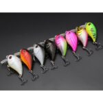 Round Bill Crankbait