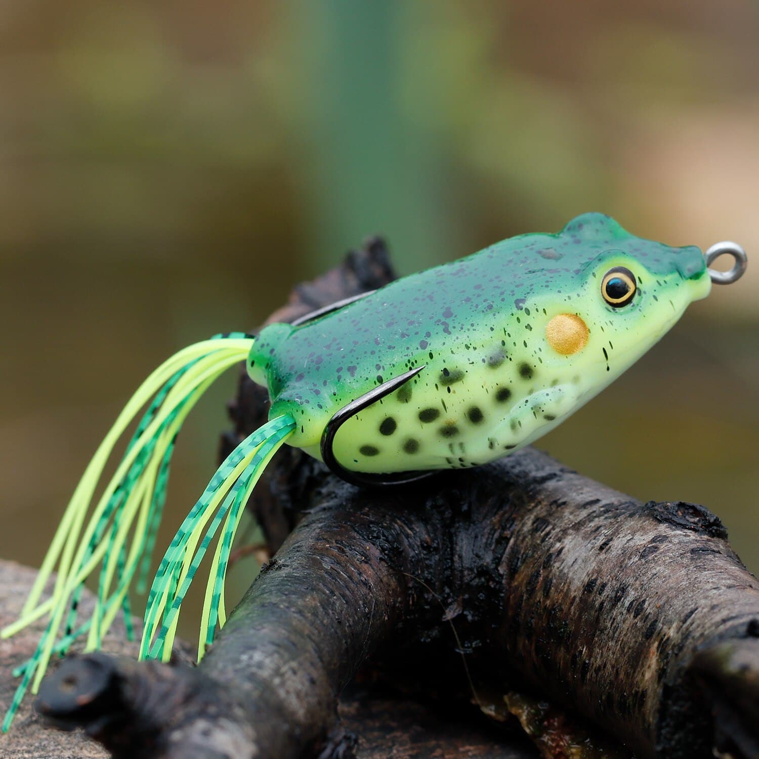 Sougayilang Hollow Frog