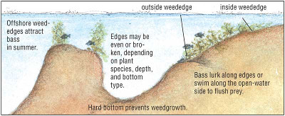 Structures bumps a largemouth bass fishing tips