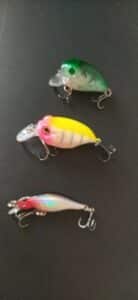 Techniques for Fishing Shallow Water for Bass - Laser Minnow Fishing Jerkbait