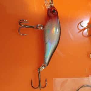 Techniques for Fishing Shallow Water for Bass - Laser Minnow Fishing Jerkbait