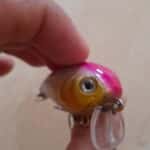 Round Bill Crankbait
