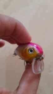 Round Bill Crankbait