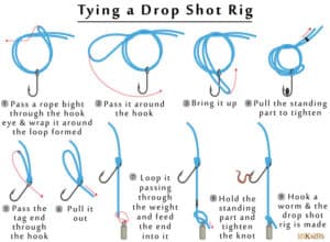 Tying a Dropshot Rig