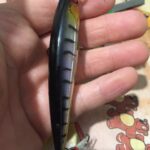 Laser Minnow Fishing Jerkbait Bass fishing tips US