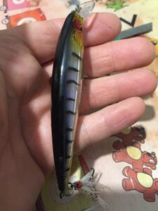 Laser Minnow Fishing Jerkbait Bass fishing tips US