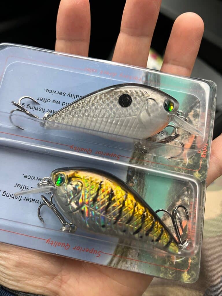 Best Bass Fishing Lures For Beginners - Lipless Crankbait