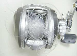 Backlashes from Costal angler magazine