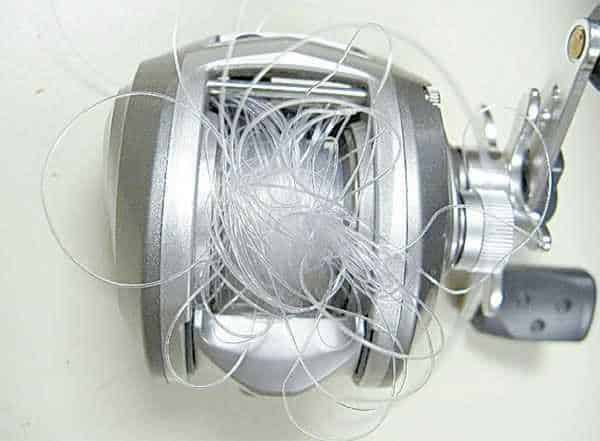 Backlashes from Costal angler magazine