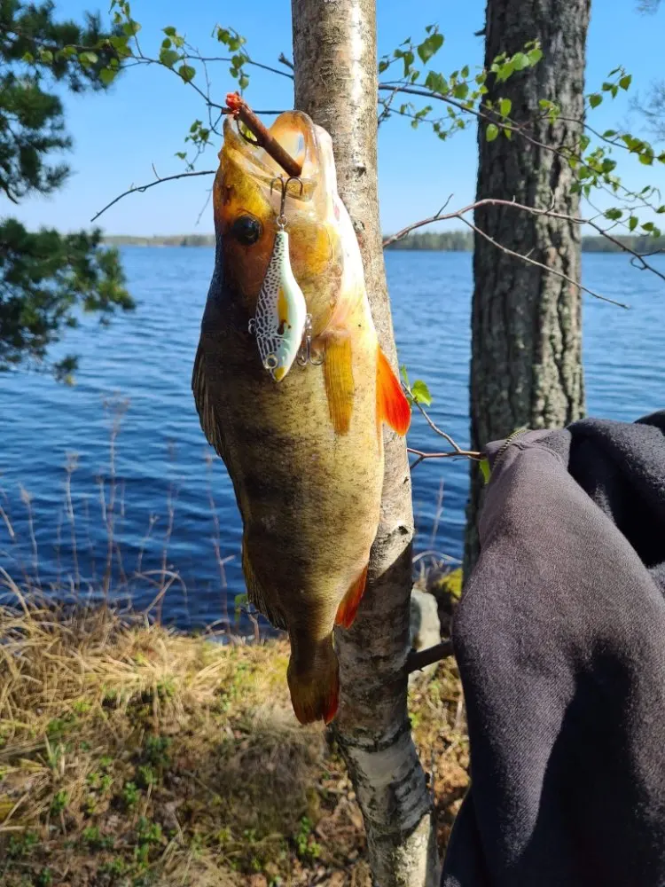 GOBASS Lipless Crankbait Fishing Tackle 2021 Rattling Baits VIB Fishing Lure 18/21g Wobblers For Pike Perch Metal Vibration Bait