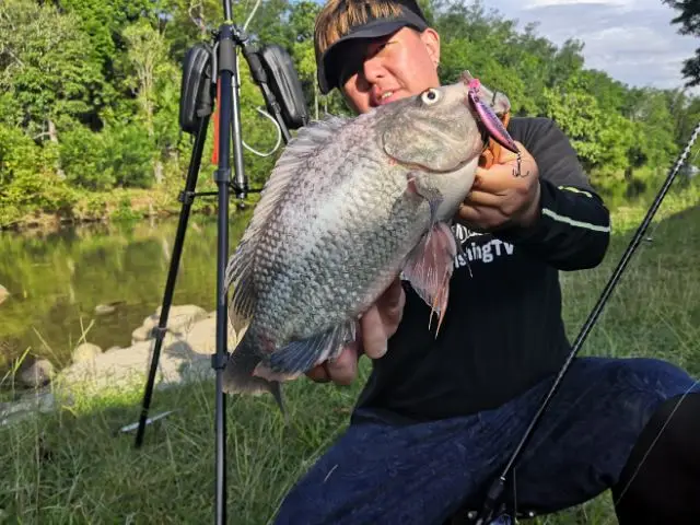 Kingdom Sinking Minnow Fishing Lure 45mm 60mm Far Casting Artificial Hard Wobbler Crankbaits Slim Body Hard Baits For Trout Bass Kingdom Sinking Minnow Fishing Lure 45mm 60mm Far Casting Artificial Hard Wobbler Crankbaits Slim Body Hard Baits For Trout Bass