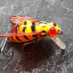 Bees topwater lure